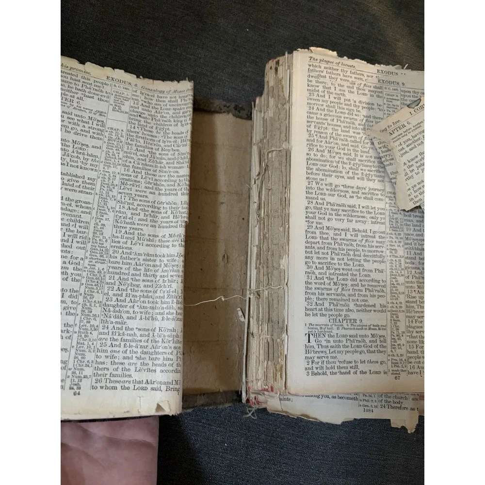 Antique Holy Bible Red Letter International Bible Press Epherma Junk Journal